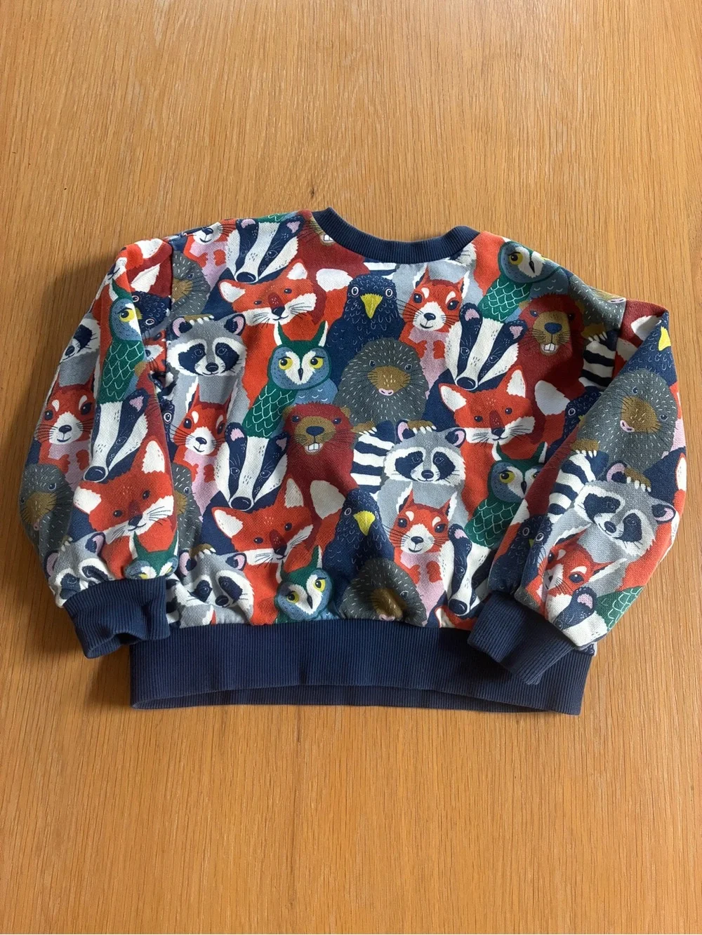 Mini Boden- Boys-Girls-Forest-Woodland-Animals-Crewneck-Sweatshirt-6 7